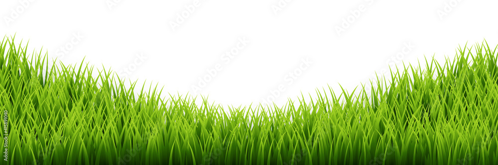 Green grass border set on white background. Vector Illustration Green grass border set on white background. Vector Illustration