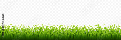 Green grass border set on transparent background. Vector Illustration