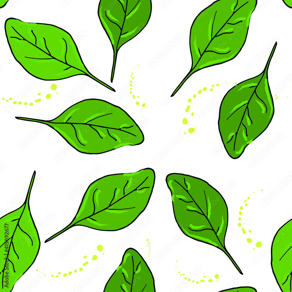 Seamless pattern with spinach leaves, green leaves on a white ...