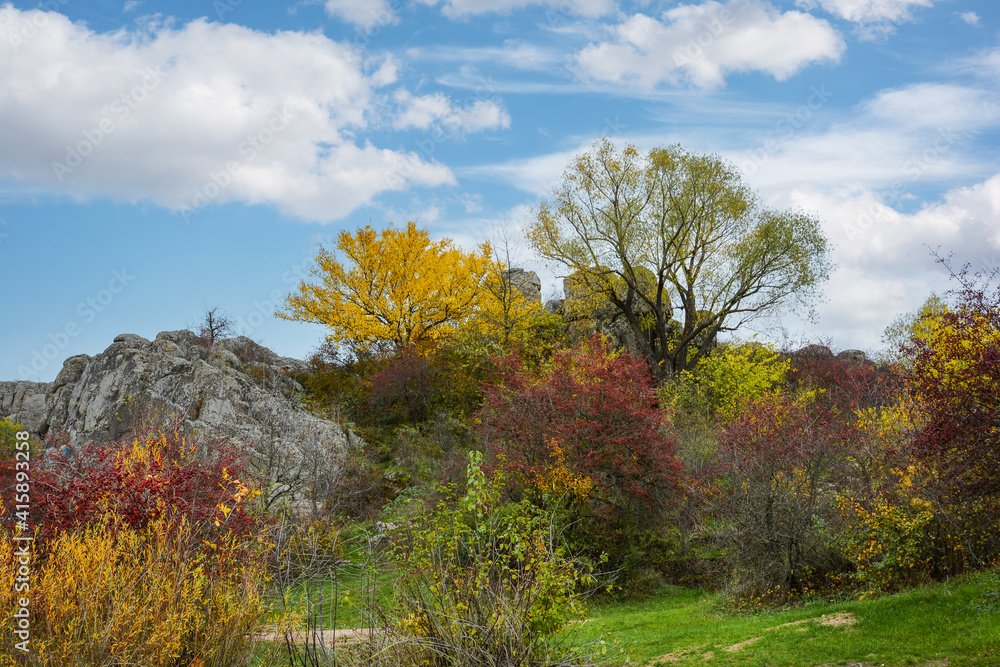 A granite canyon in the bed of the Mertvovod River in the village of Aktove, Ukraine. Colorful leaves of trees in the autumn landscape, colors of leaf-fall.
