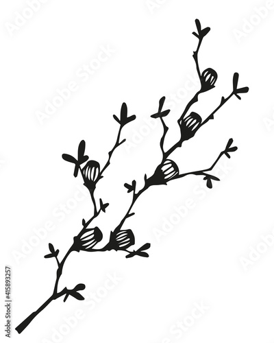black and white, linear drawing of a branch with leaves, berries, buds, ornamental plant, stylized vector graphics