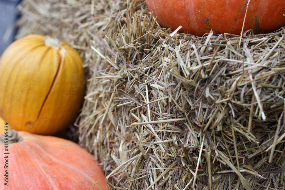 Fall theme. Several pumpkins and a bale of straw Fall theme. Several pumpkins and a bale of straw