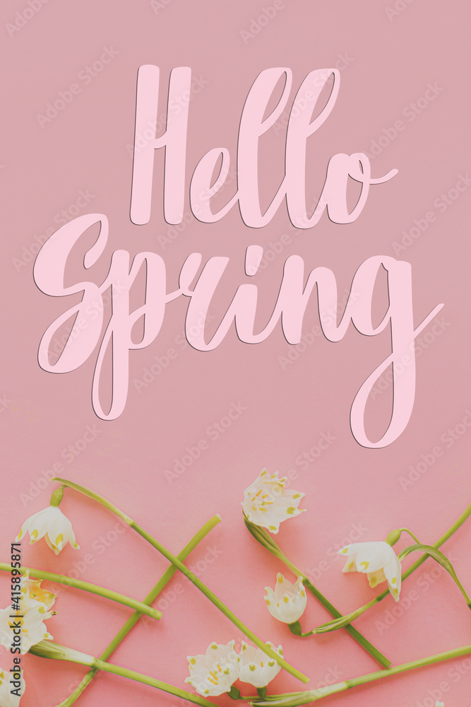 Hello spring text sign on white spring flowers border on pink background flat lay. Stylish tender floral greeting card, handwritten greetings Hello spring text sign on white spring flowers border on pink background flat lay. Stylish tender floral greeting card, handwritten greetings