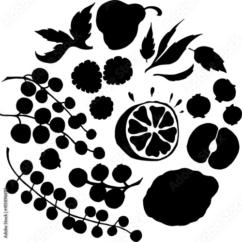 Contour drawing of fruits.Silhouettes of different fruits. Isolated prints of mint, raspberry, pear, currant,blackberry. Slice of apple, lemon. Healthy food, food, drinks, juices, vitamins. Harvest 