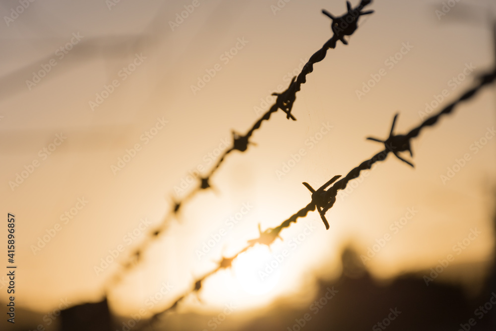 Close up of a barbed wire fence at sunset in New Zealand Close up of a barbed wire fence at sunset in New Zealand