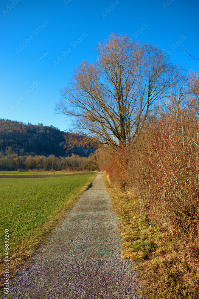 Heavenly landscape in Oberriet in Switzerland 11.1.2021