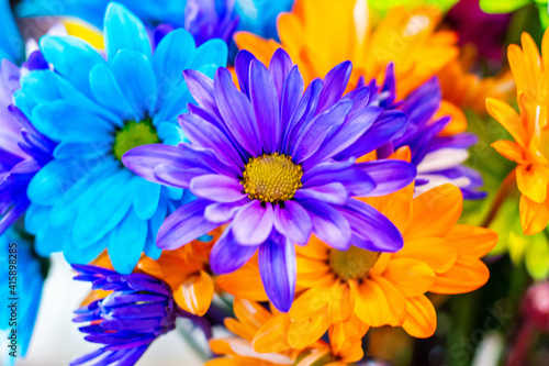 Rainbow flowers