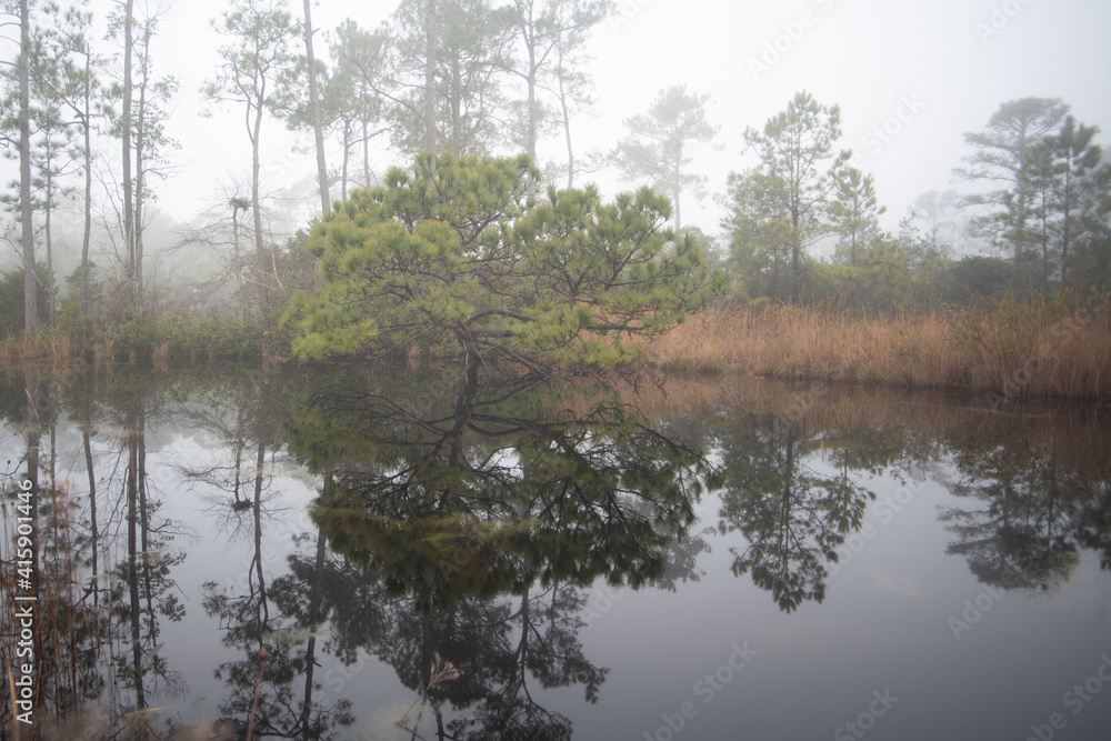 Obraz premium Lake