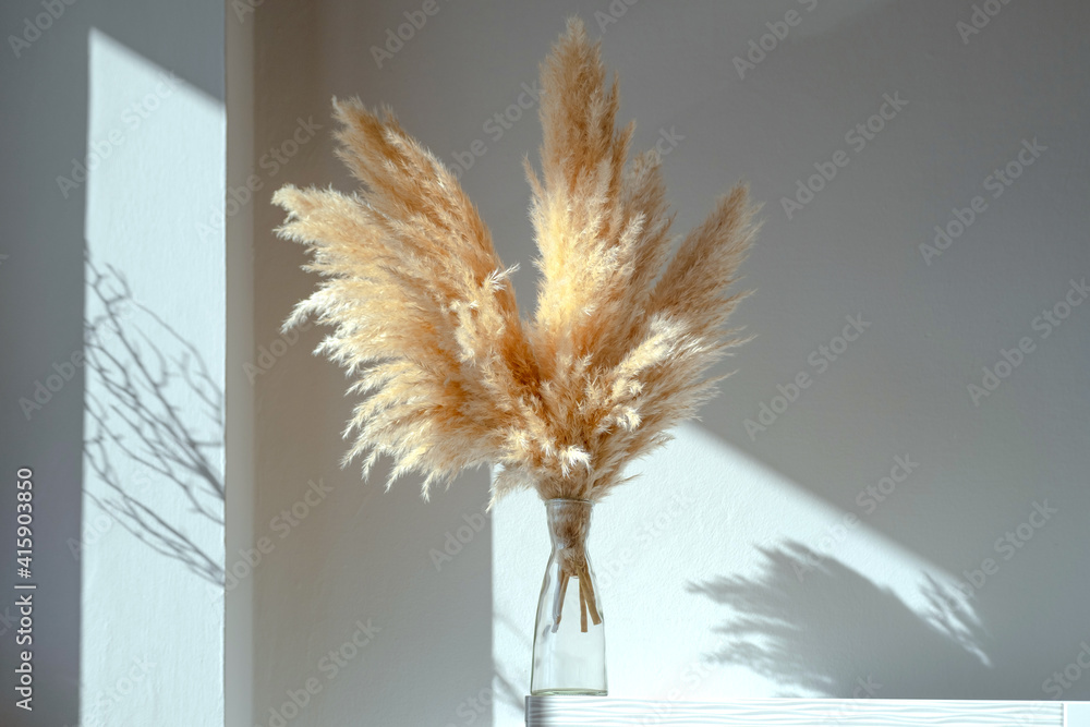 Plakat Stems Bundle of Dried Fluffy Pampas Grass in glass vase on white scandinavian desk. Perfect for Home, Party and Wedding Decor, Boho Decoration and Flower Arrangements. Photo Props.