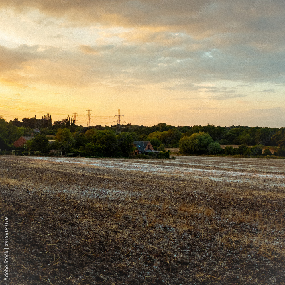 Obraz premium field at sunset