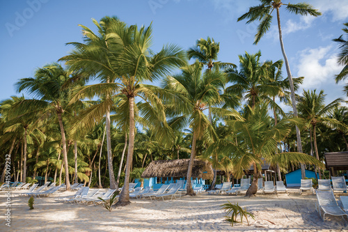 Secluded beach on Saona Island  La Romana  Dominican Republic