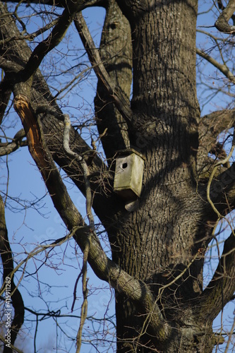 budki  lęgowe  na  drzewie  czekają  na  przylot  ptaków