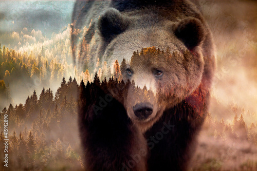 double exposure of brown bear and forest wildlife conservation