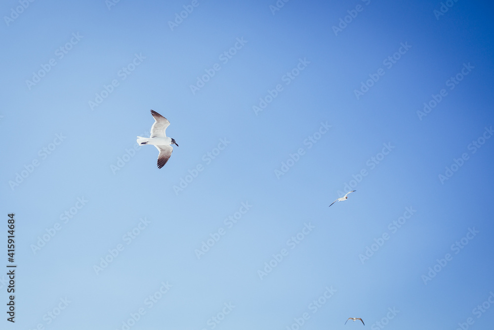 Fototapeta premium vacacion