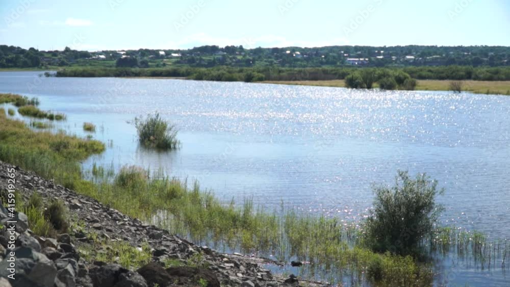 mountain river flooded the low shore mountain river flooded the low shore