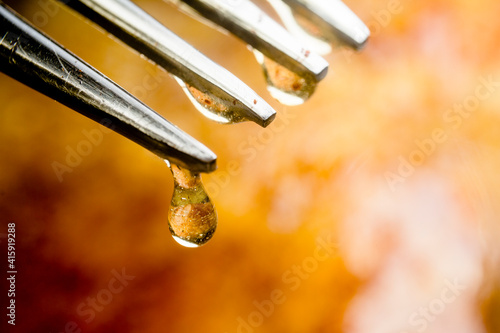 Billede på lærred Sweet Canadian maple syrup dripping from a fork with french toast