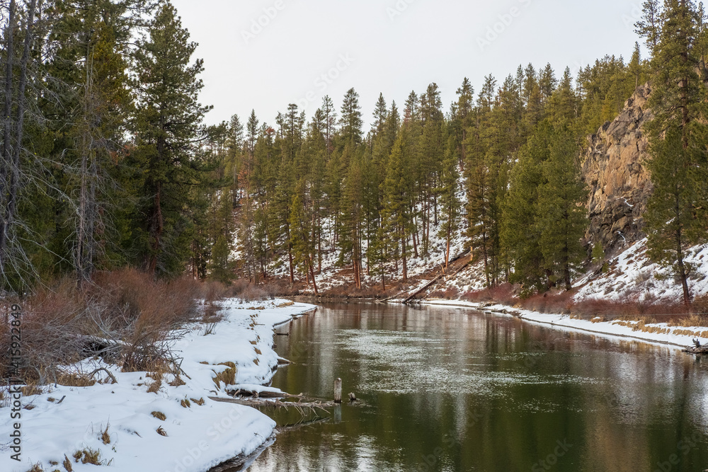 Obraz premium A winding river surrounded by green trees