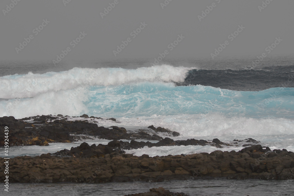 Fototapeta premium OLAS