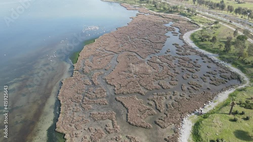 Video image of Çakalburnu Lagoon and Flamingos in İzmir