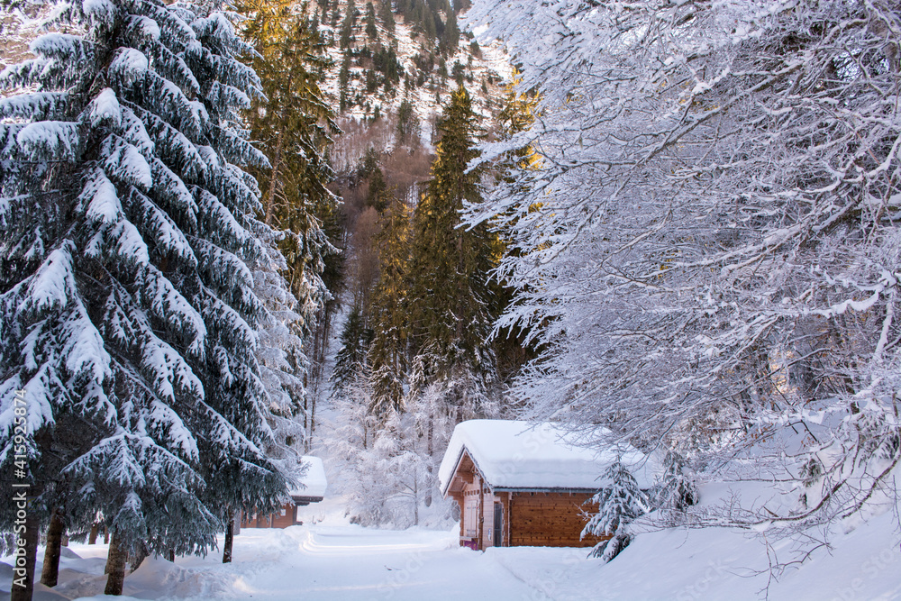White landscape with a cabin and snow White landscape with a cabin and snow