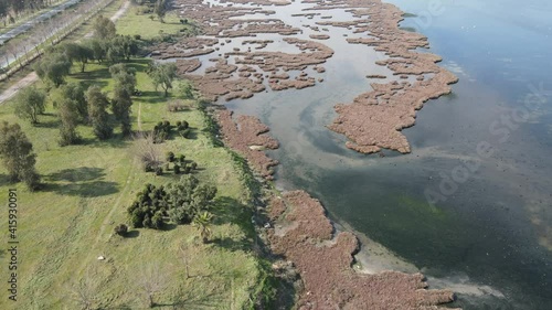 Video image of Çakalburnu Lagoon and Flamingos in İzmir