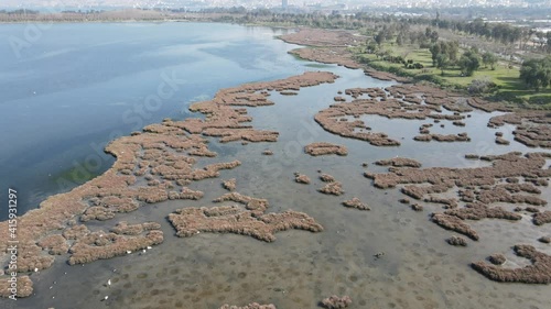 Video image of Çakalburnu Lagoon and Flamingos in İzmir