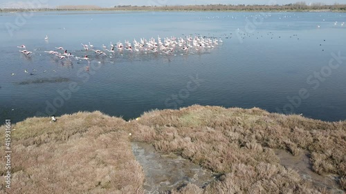 Video image of Çakalburnu Lagoon and Flamingos in İzmir