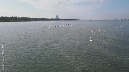 Video image of Çakalburnu Lagoon and Flamingos in İzmir