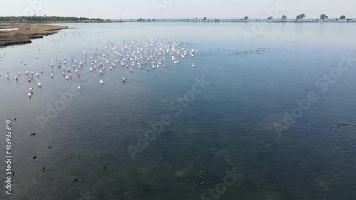 Video image of Çakalburnu Lagoon and Flamingos in İzmir