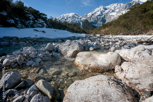 Rocky clear mountain river flowing through evergreen forest, Mieminger Plateau, Tirol, Austria