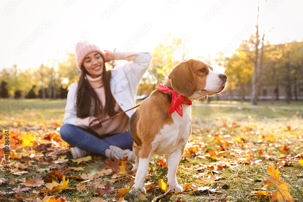 Woman walking her cute Beagle dog in autumn park