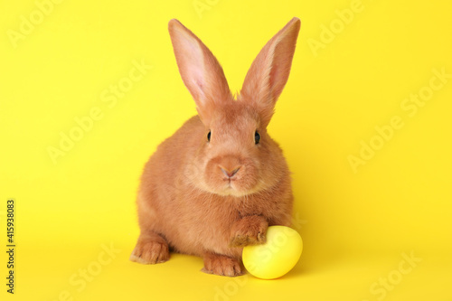 Cute bunny and Easter egg on yellow background © New Africa