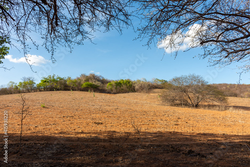 Paisagem de clima semi árido durante a seca