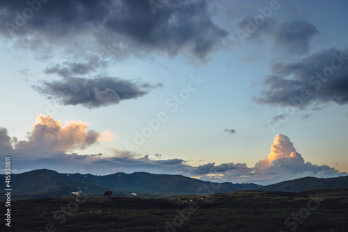 Beautiful mountain scenery with horses and big cloud in form of explosion in sunrise sky. Scenic mountain landscape with illuminating color in sunset sky and horses on hill. Golden dawn light in sky.