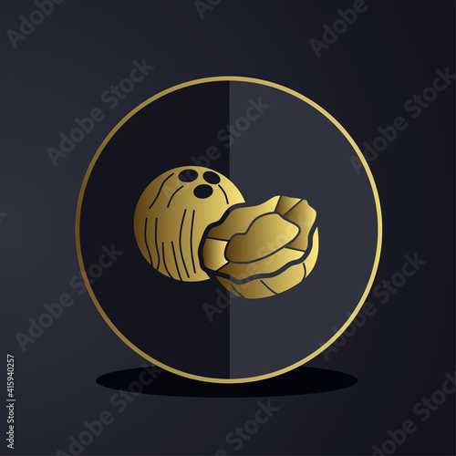 Dark premium coconut fruit icon logo with gold colored glyph icon style