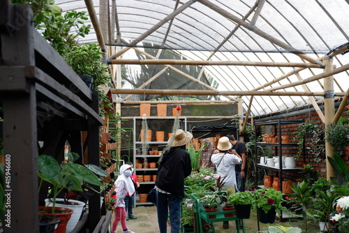 PLANTS SHOP AND POTTERY