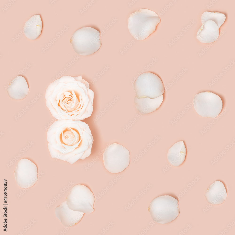 Delicate postcard on March 8 with two white flower roses as number eight and flying petals. International Womens Day. Floral decor invitation soft pink colored. Minimal style. Delicate postcard on March 8 with two white flower roses as number eight and flying petals. International Womens Day. Floral decor invitation soft pink colored. Minimal style.