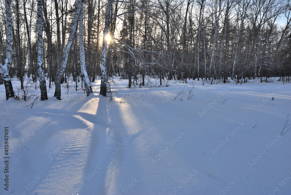 Winter Siberian forest, Omsk region Winter Siberian forest, Omsk region