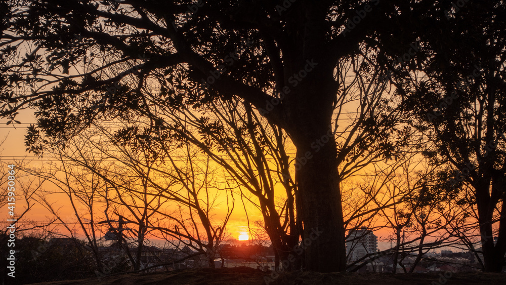 夕暮れと木のシルエット 夕暮れと木のシルエット