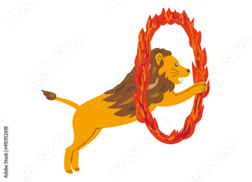 A circus lion passing through a burning hoop