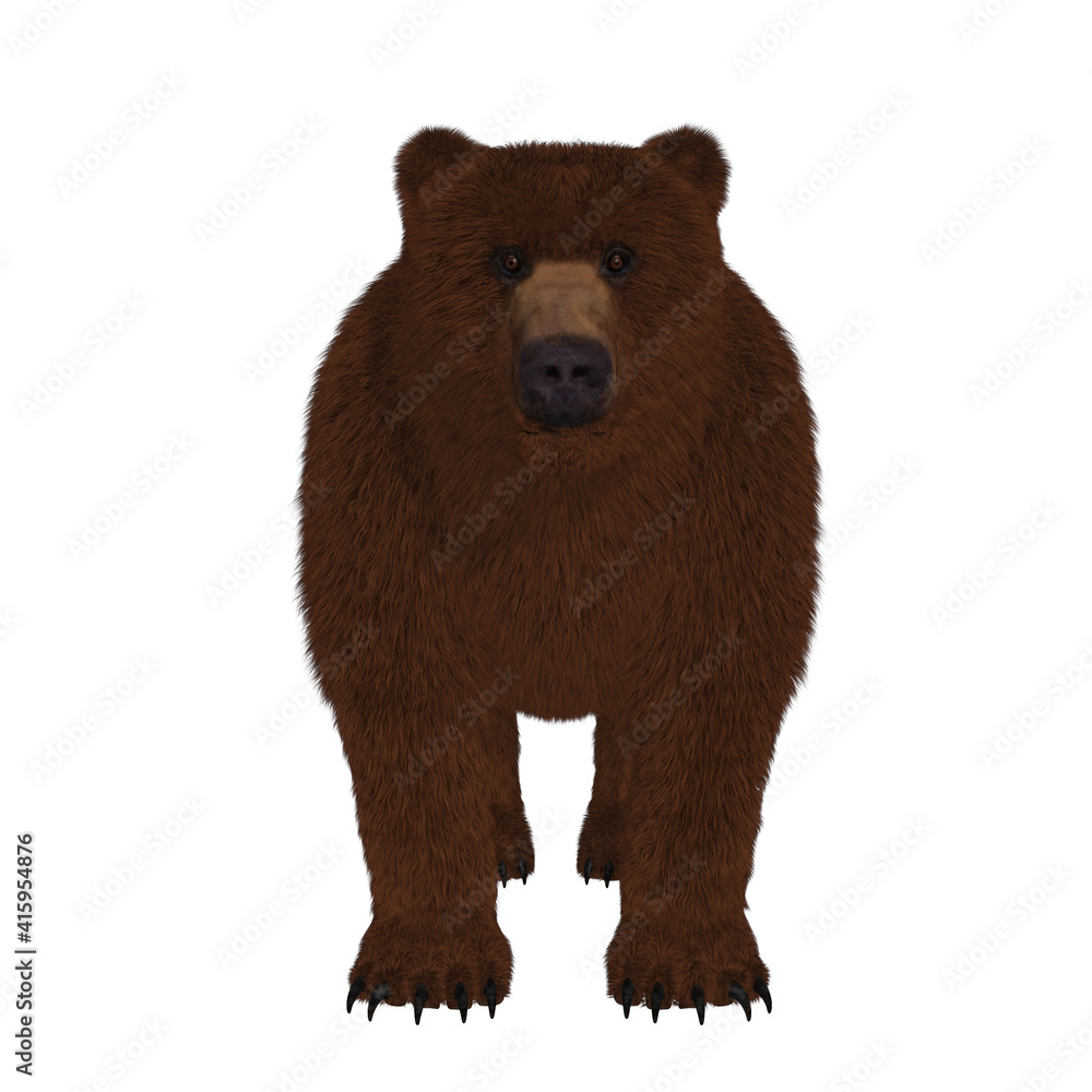 3d render of a grizzly bear 3d render of a grizzly bear