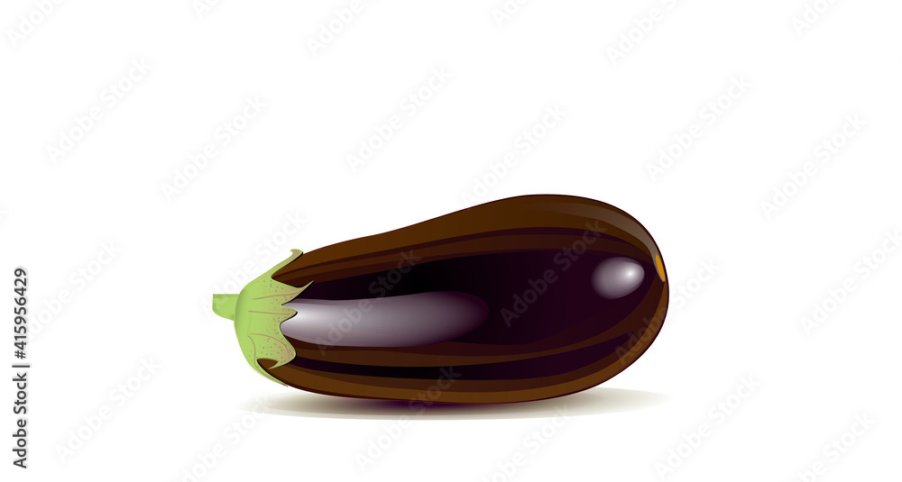 Eggplant (Baingan) drawing created by Indian artist. Eggplant (Baingan) drawing created by Indian artist.