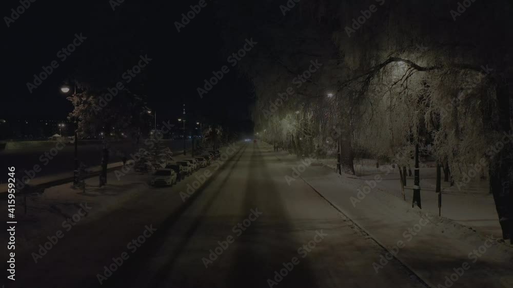 A car at high speed drives on a snowy road at night in a park in winter. Strong frost and cold, a lot of snow on the trees. Street lights are on along the road. A car at high speed drives on a snowy road at night in a park in winter. Strong frost and cold, a lot of snow on the trees. Street lights are on along the road.