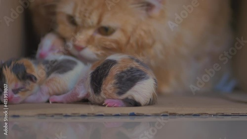 Banner website size Wicker basket lace Cup blue and Whole wheat bread coffee beans yellow light