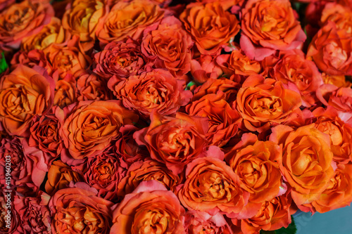 Close-up photo of a bouquet of many Rosebuds