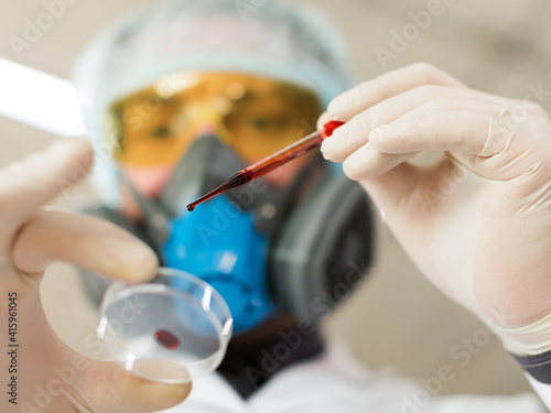 Bottom view. A researcher in the laboratory drips blood from a pipette into a Petri dish.