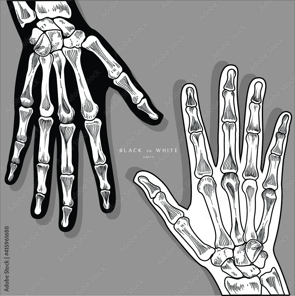 Naklejka premium hand skeleton drawn illustration of hand