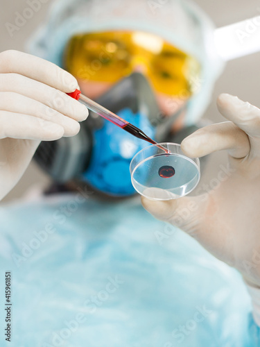 Close-up bottom view. A researcher in the laboratory drips blood from a pipette into a Petri dish. Concept of modern research in the field of vaccine development.