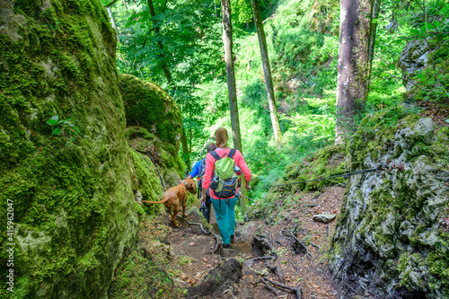 Erlebniswanderung mit Hund im Naturpark Altmühltal auf dem Jägersteig nahe Dollnstein