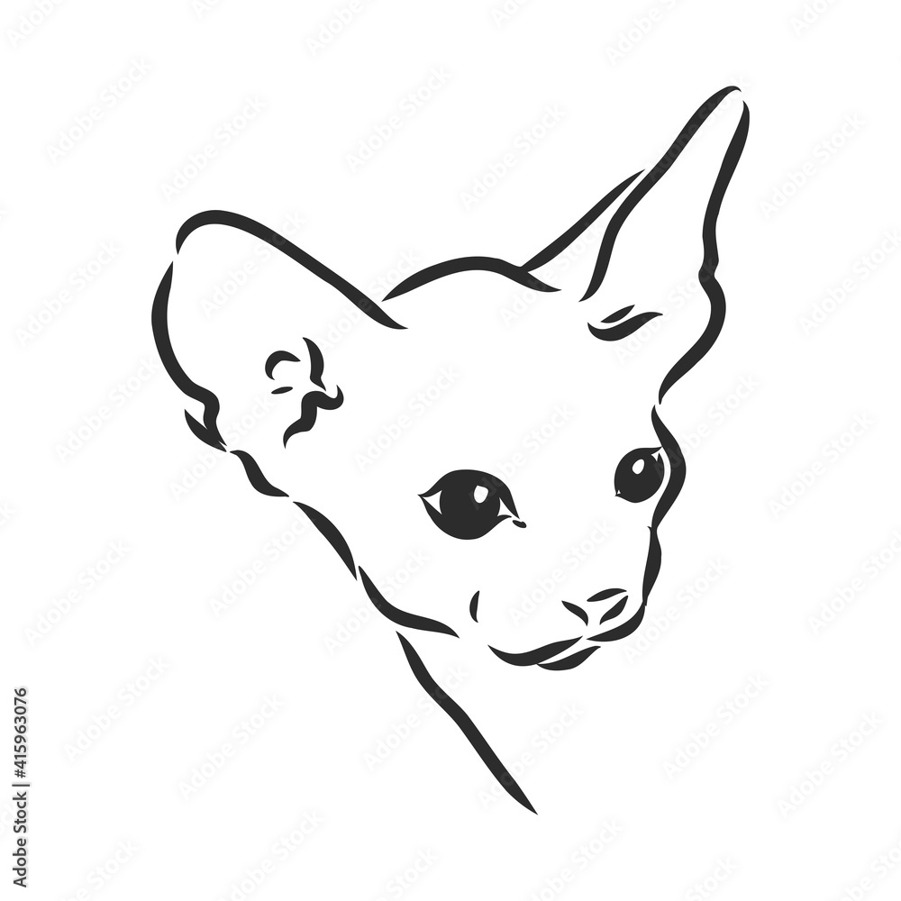 sketch of a sphinx cat, isolated, on a white background. sphinx cat, vector sketch on a white background sketch of a sphinx cat, isolated, on a white background. sphinx cat, vector sketch on a white background